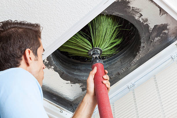 Air Duct Mold Removal in Oakland, FL